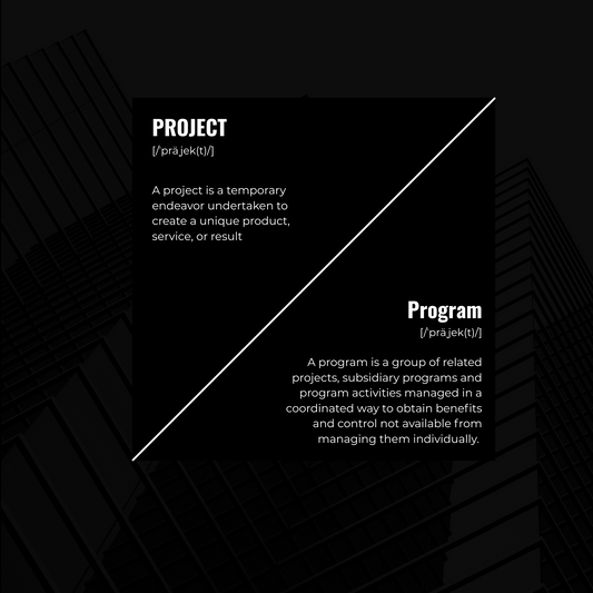 Leading a Project vs. Leading a Program: Understanding the 5 Core Differences